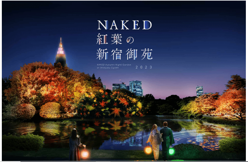 Naked Autumn Leaves Night Garden at Shinjuku Gyoen-min