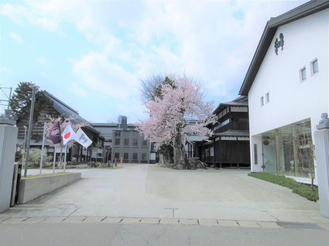 Takagi Sake Brewery 