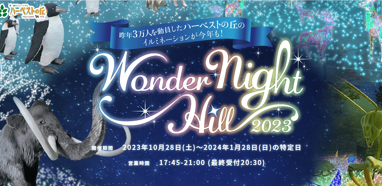 Wonder Night Hill 2023-min