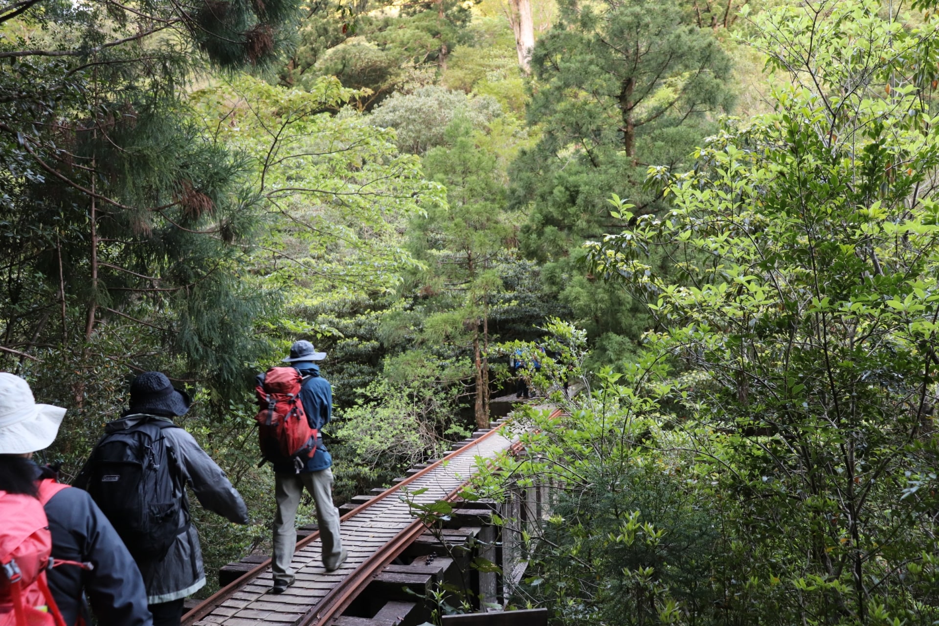 Yakushima hiking