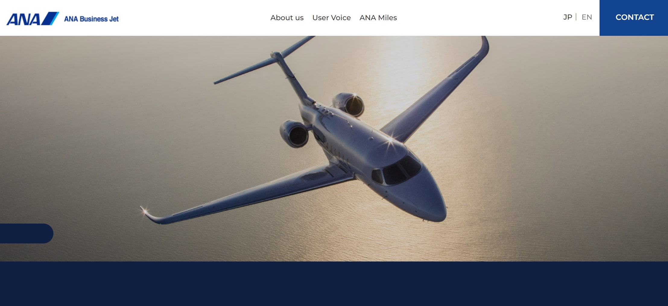 ANA Business Jet