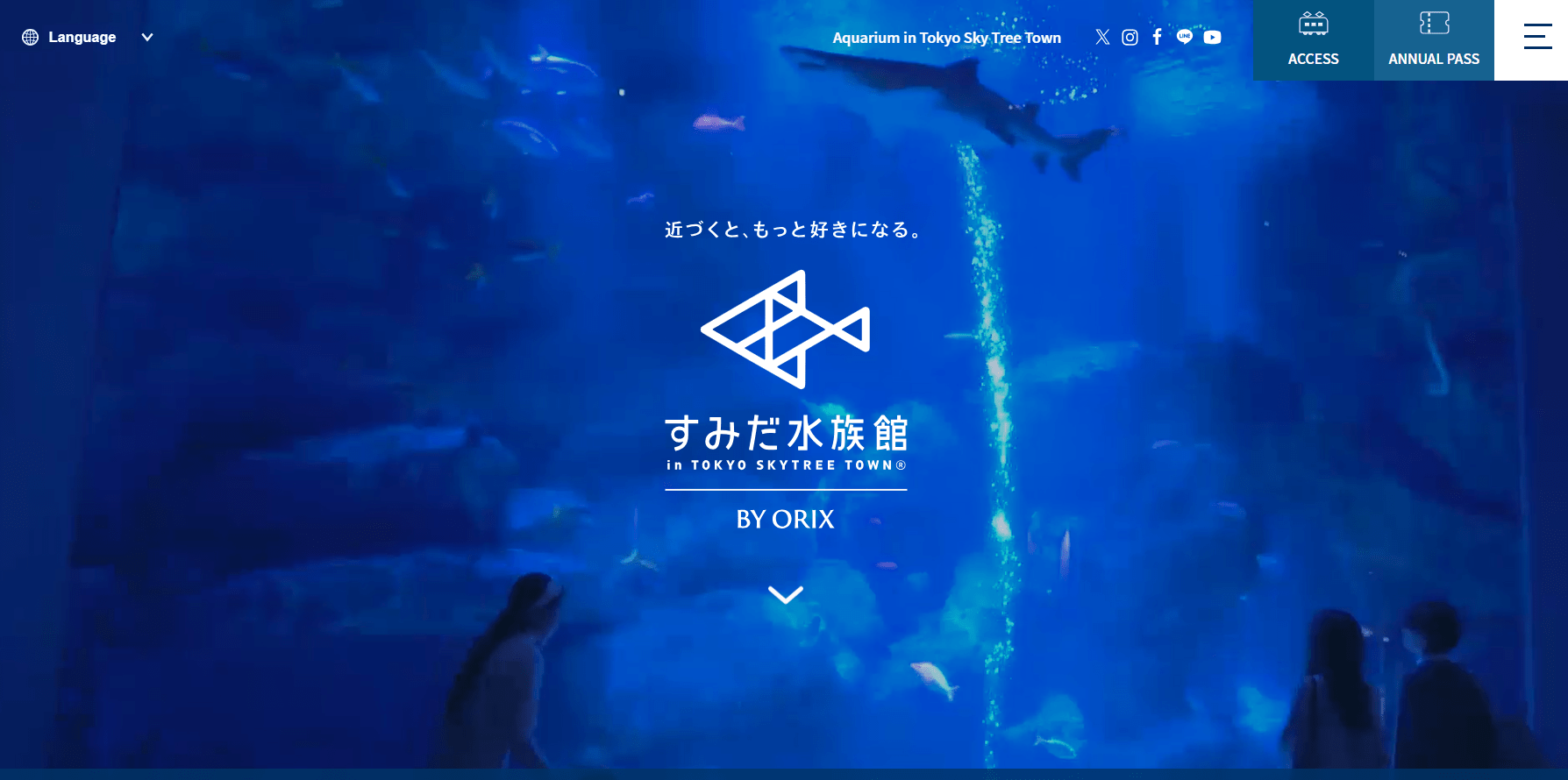 Sumida aquarium website