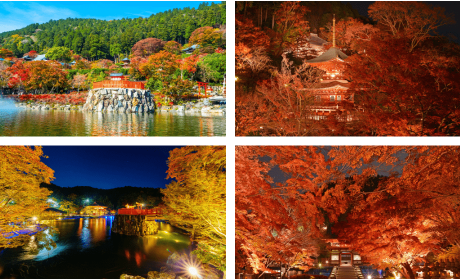 Autumn Leaves and Special Illumination in Katsuoji Temple-min