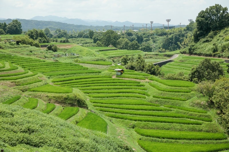 Shimoakasaka Terraced Paddy Fields