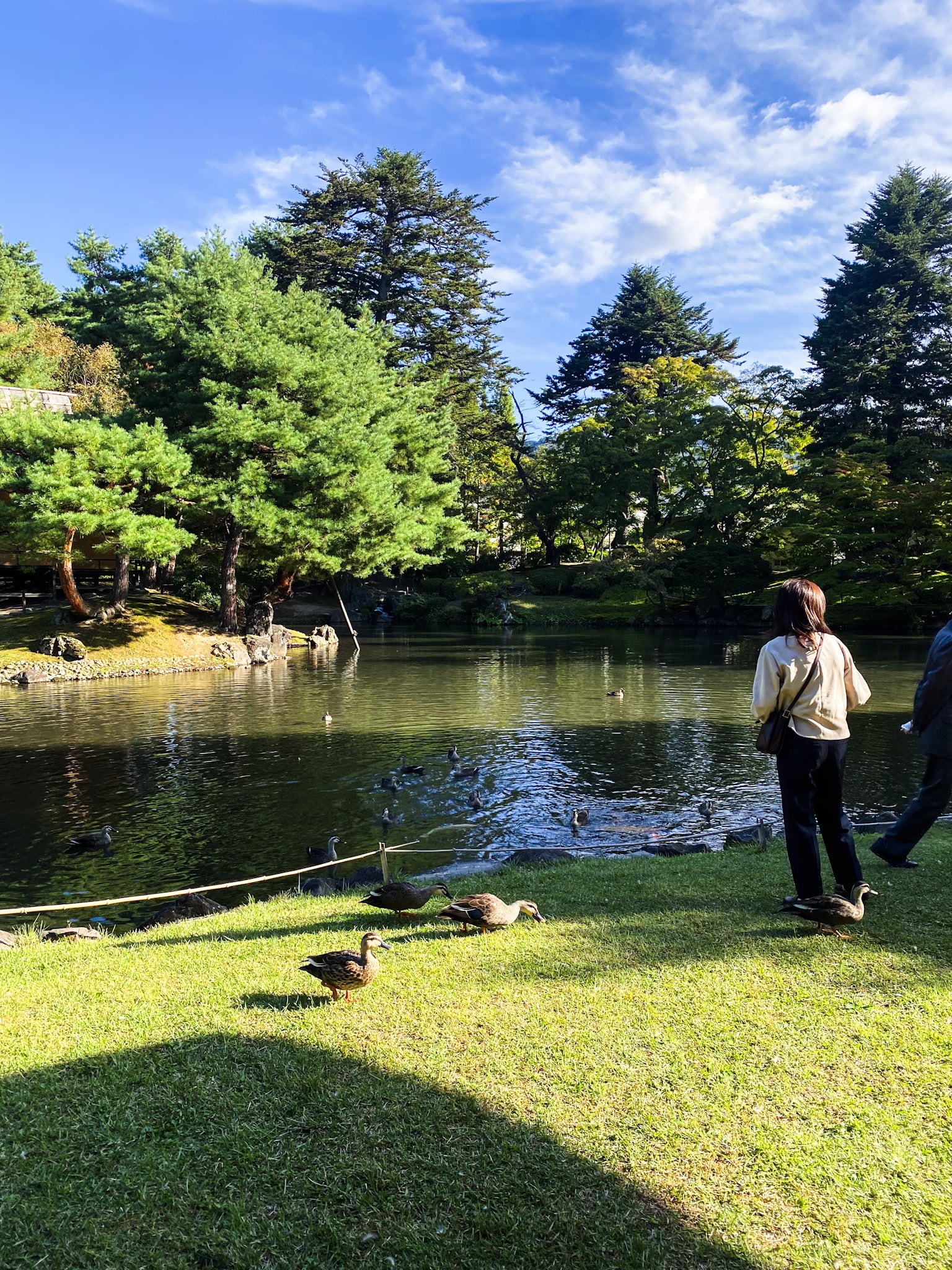 Garden pond at Oyakuen