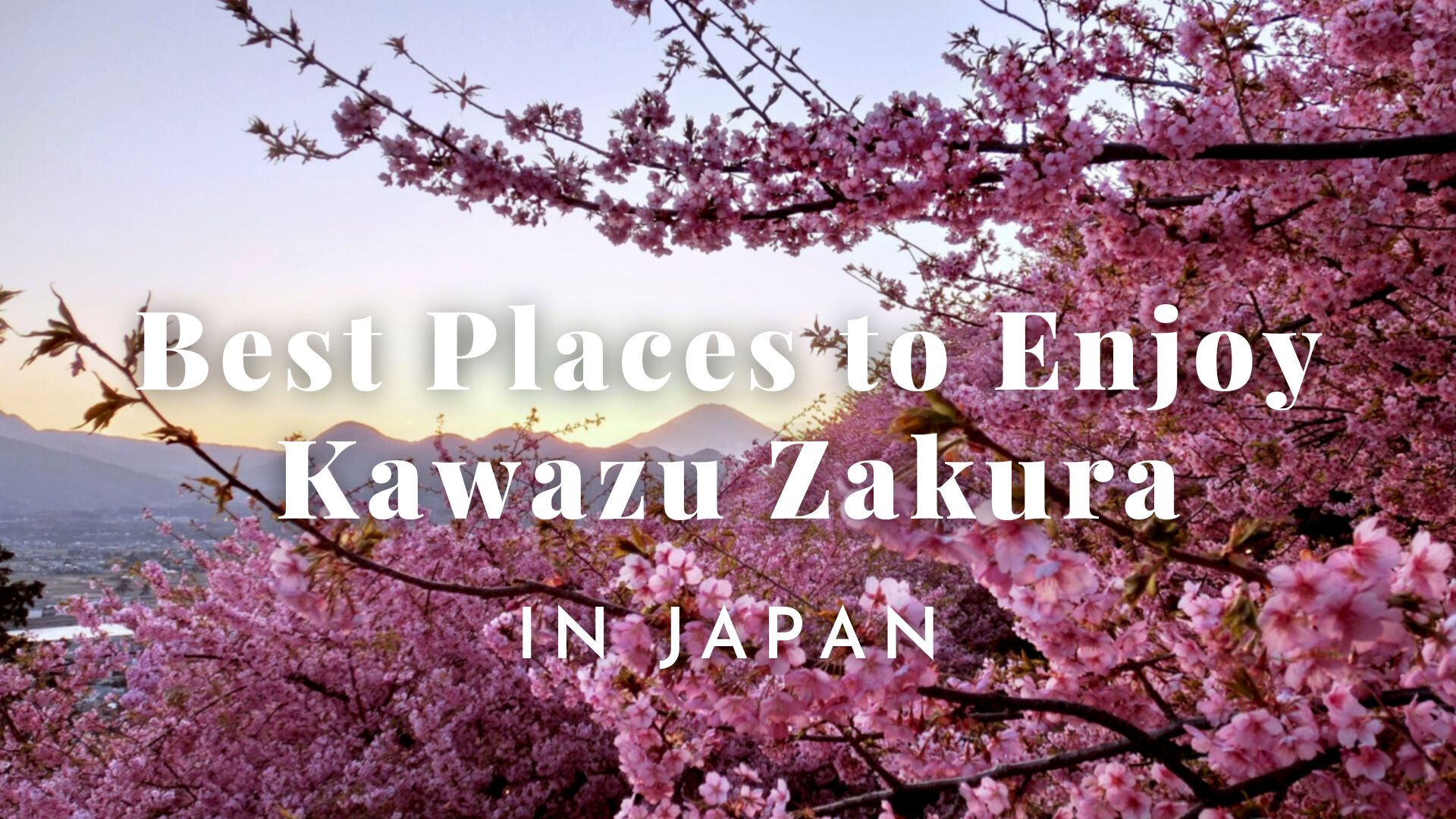 Best Early Blooming Cherry Blossom Spots in Japan 2024