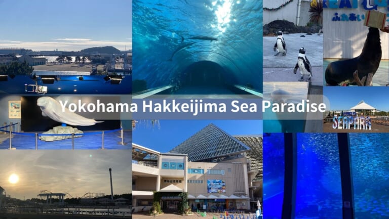 Yokohama Hakkeijima Sea Paradise Perfect Guide