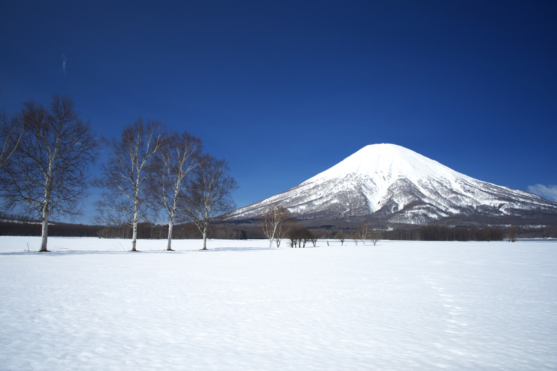 Snowy landscape of Niseko