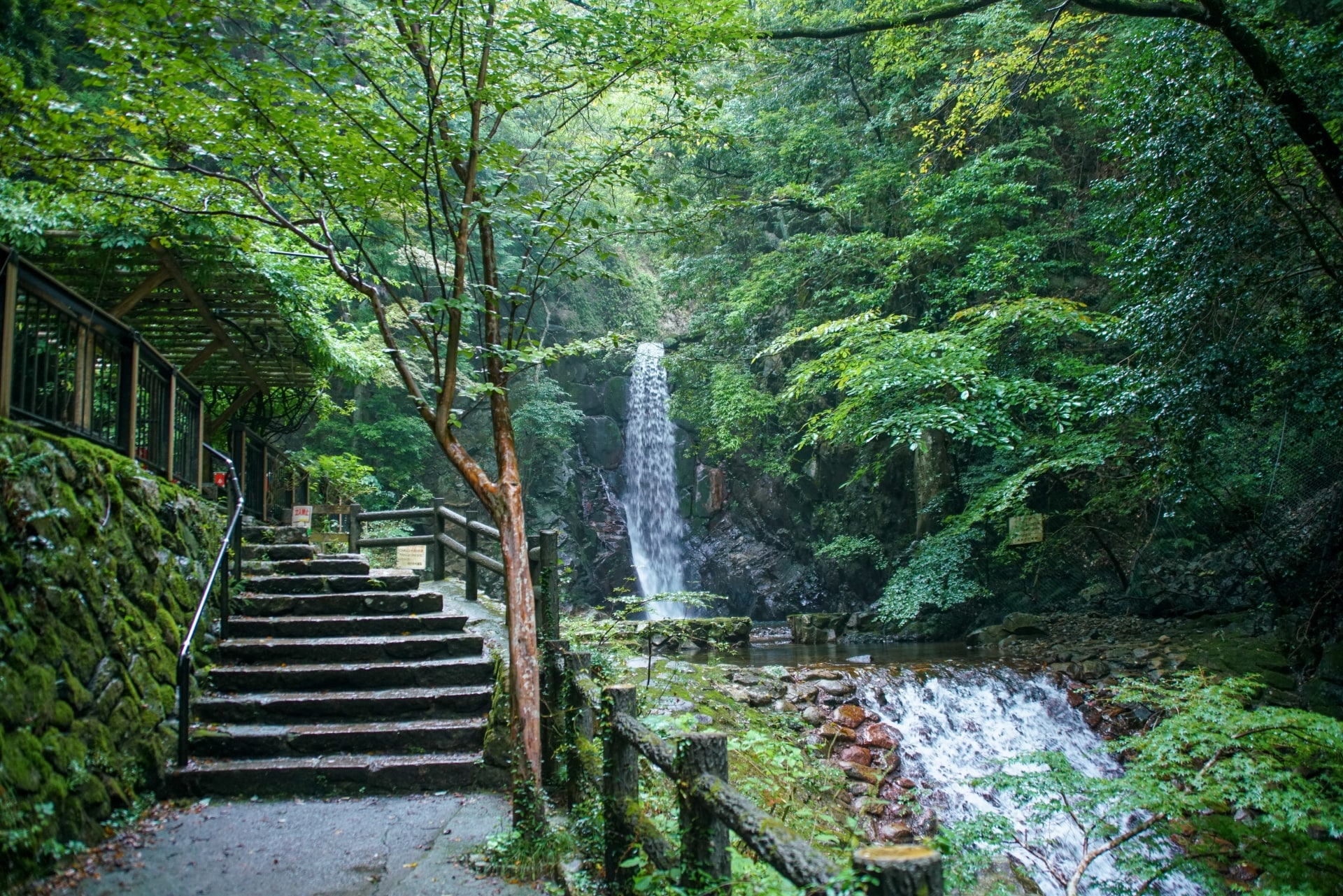 Tsuzumigataki Park