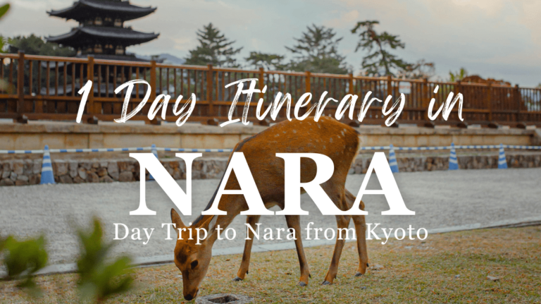 1 Day Itinerary in Nara Day Trip to Nara from Kyoto