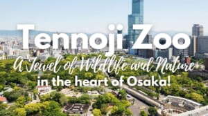 Tennoji Zoo: A Jewel of Wildlife and Nature in the Heart of Osaka