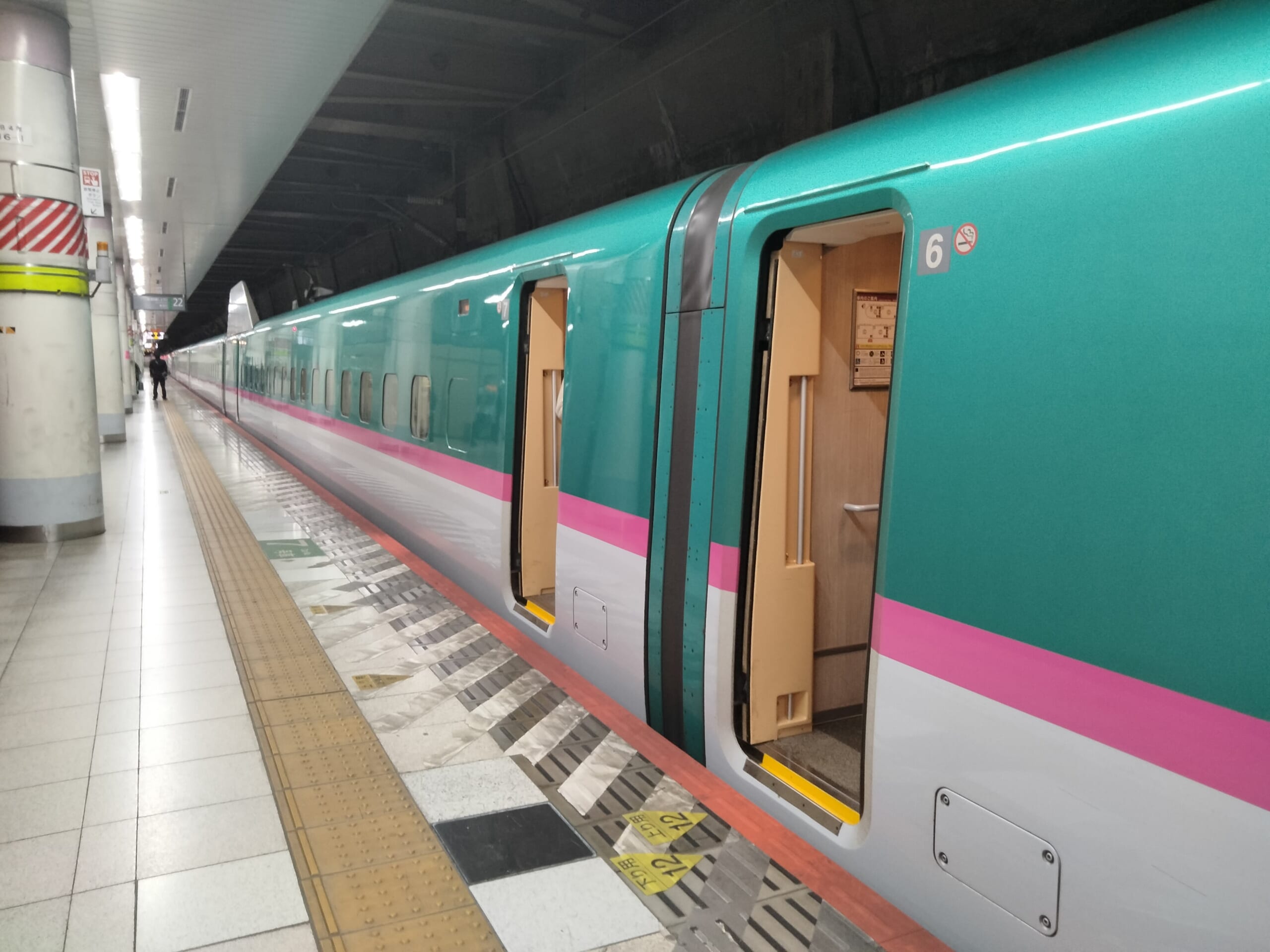 What to Do If You Missed the Shinkansen