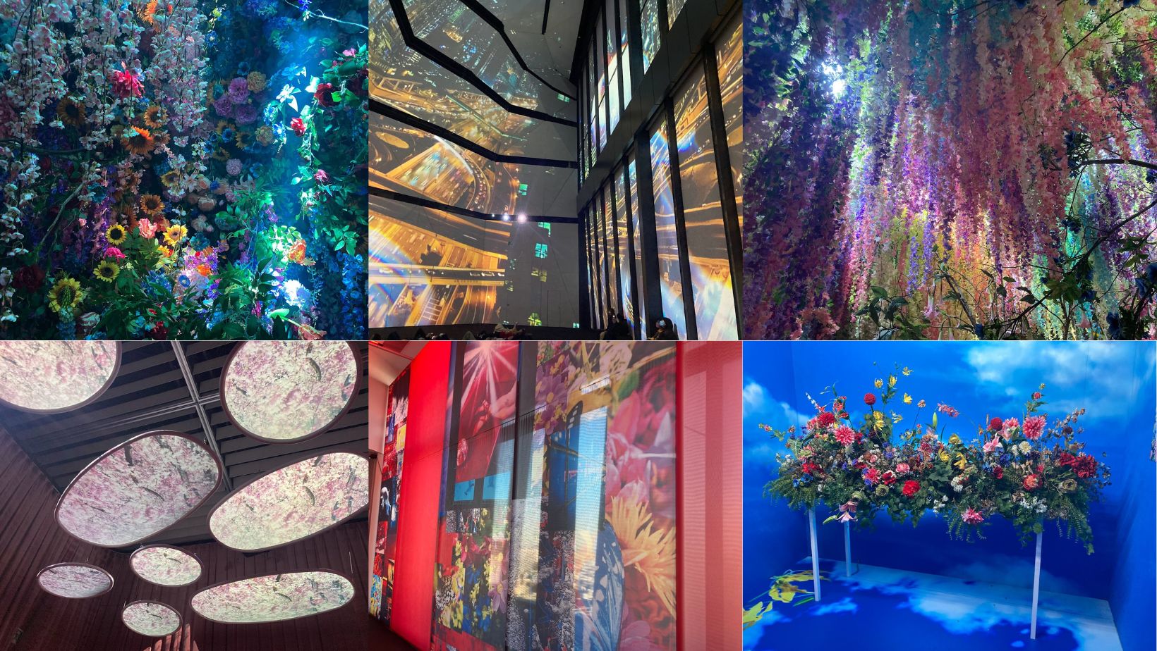 Mika Ninagawa Exhibition Experience: Eternity in a Moment at Toranomon Hills