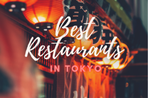 Tokyo Restaurant Guide: Best 15 Restaurants in Tokyo