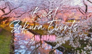 Best Cherry Blossom Events in Japan 2024