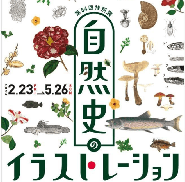Special Exhibition “Illustration of Natural History-min