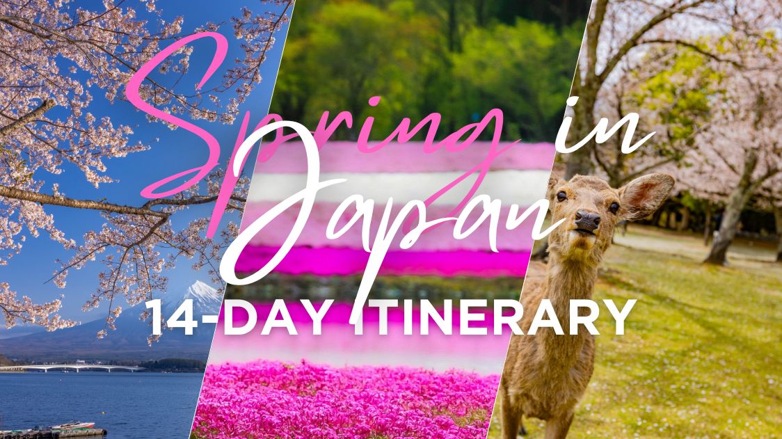 14 day Spring Itinerary in Japan