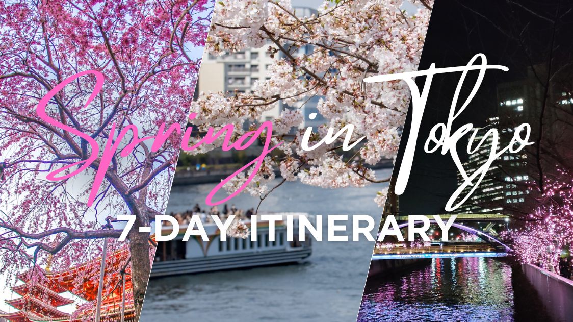 1 Week Spring Itinerary in Tokyo