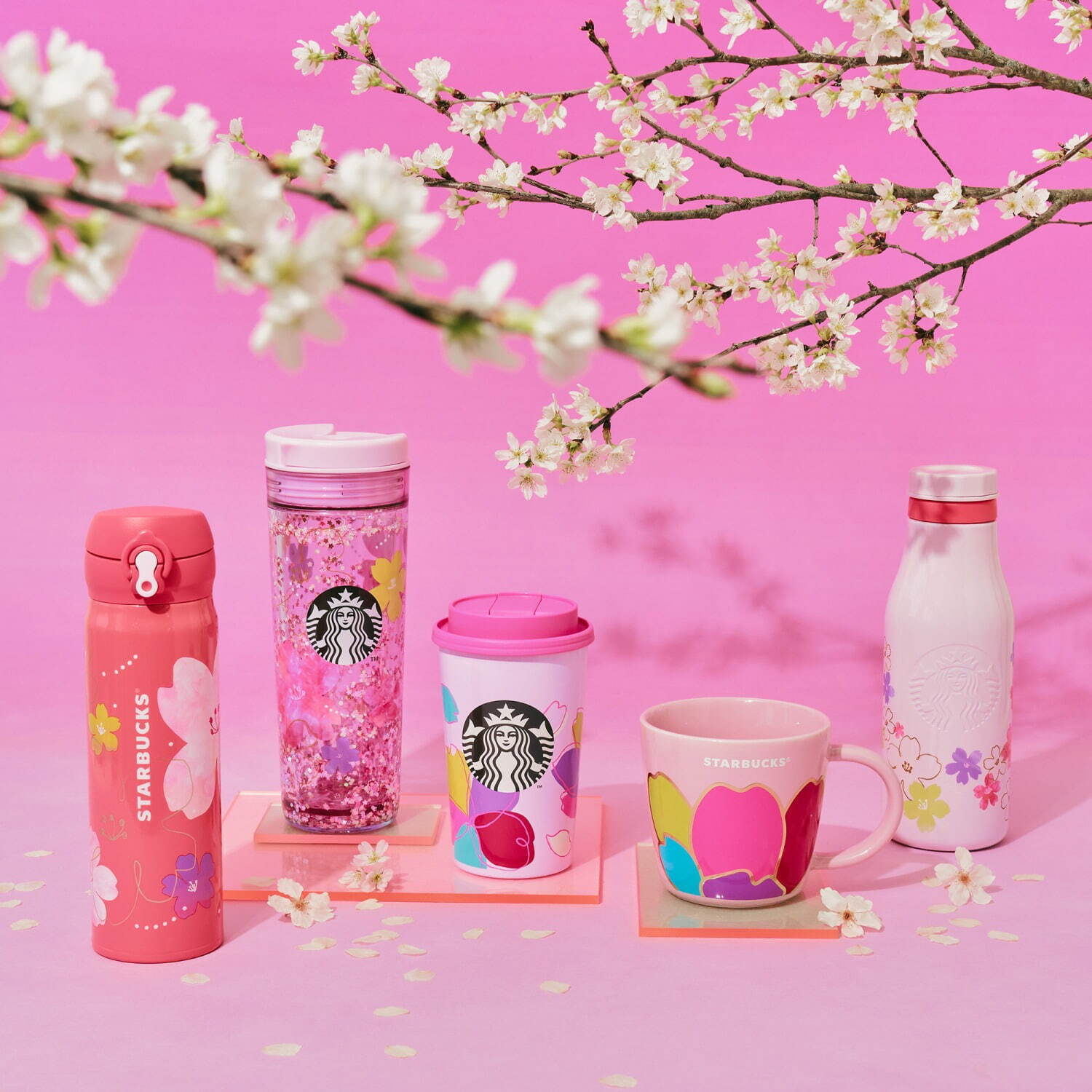 Starbucks Japan Sakura 2024