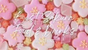 Best Sakura Food and Drinks in Japan 