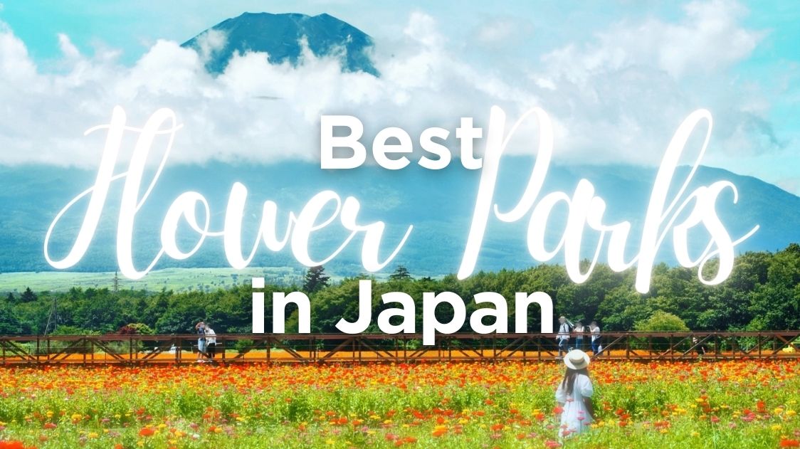 Best Flower Parks in Japan