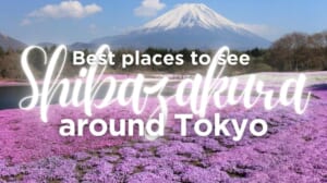 Best Places to See Shibazakura around Tokyo