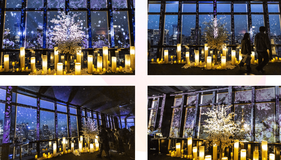 Tokyo Tower City Lights Fantasia 2024-min