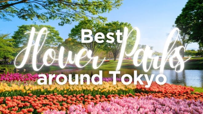 Best Flower Parks around Tokyo - Japan Web Magazine