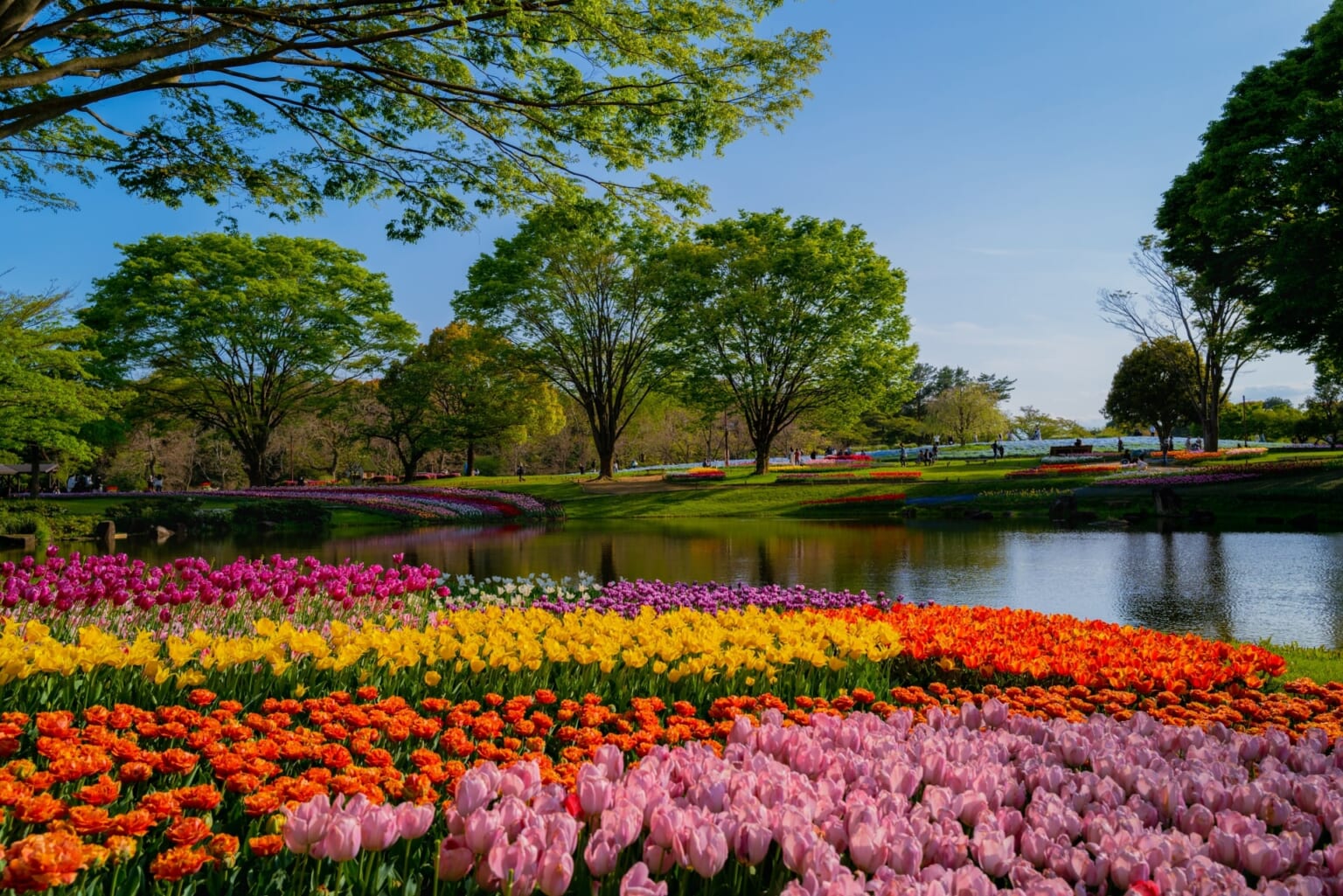 Best Flower Parks around Tokyo - Japan Web Magazine