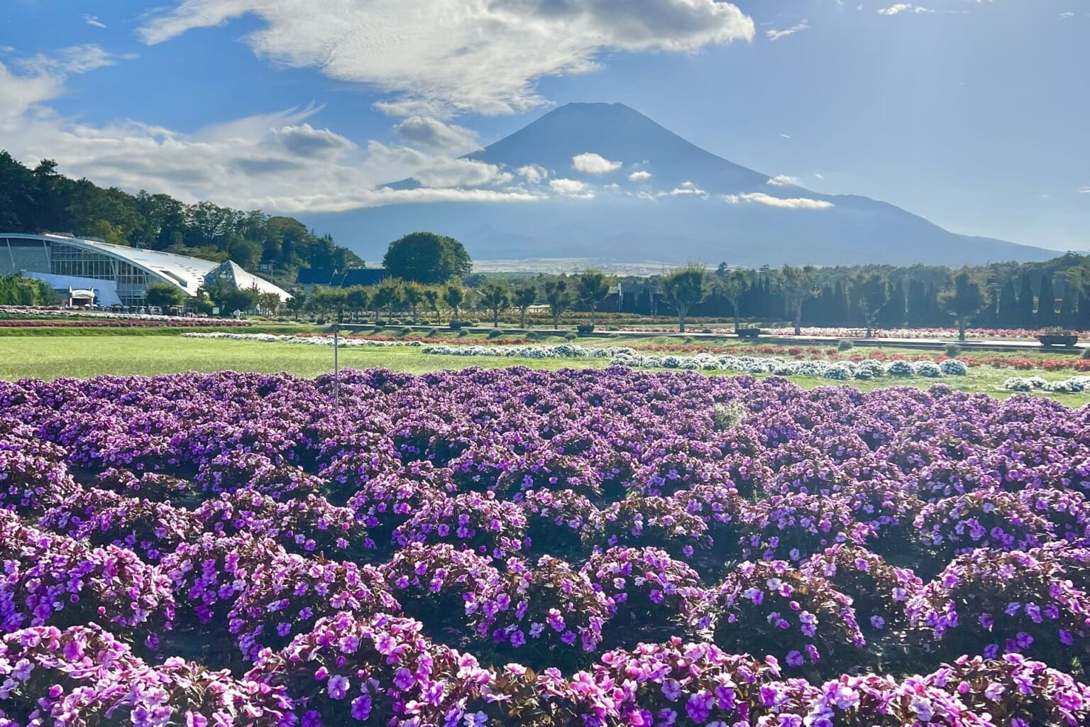 Best Flower Parks around Tokyo - Japan Web Magazine