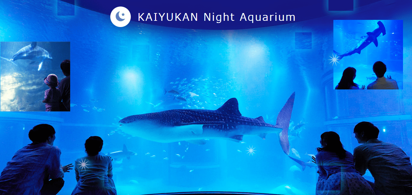 Visit Osaka Aquarium Kaiyukan-min