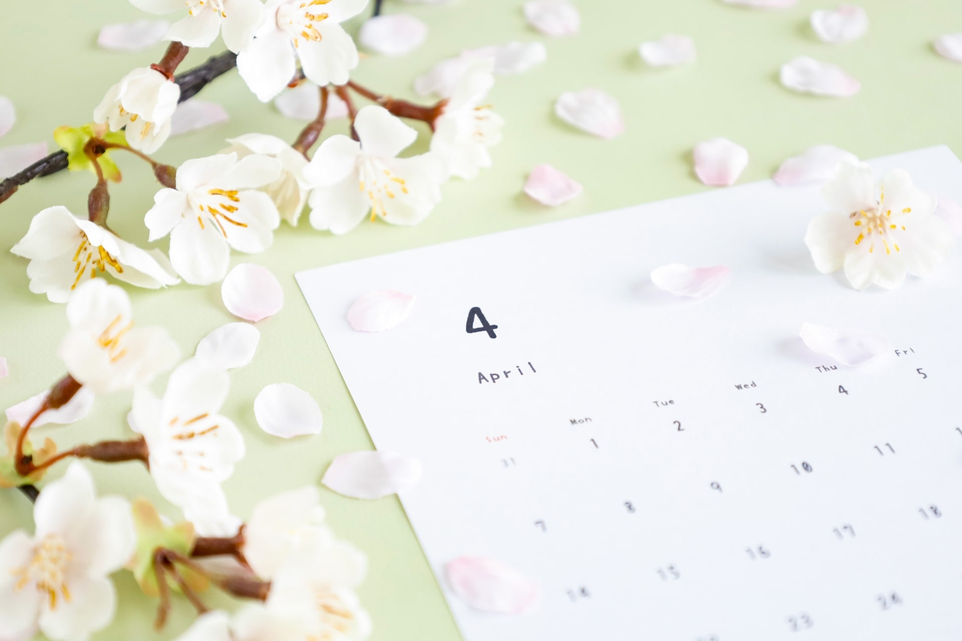 calendar with cherry blossom-min