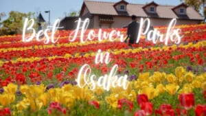 Best Flower Parks in Osaka