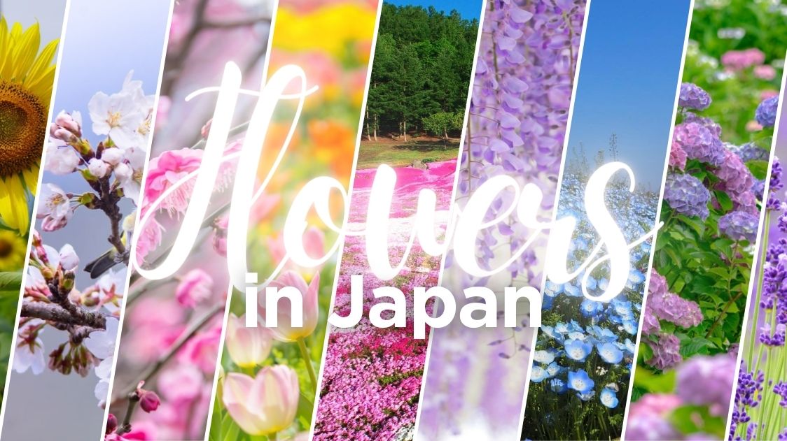 Flowers in Japan
