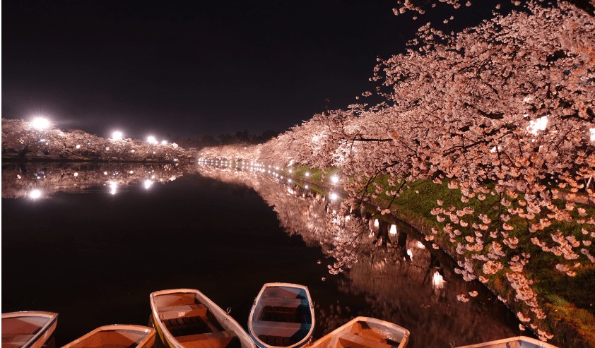 Hirosaki Sakura Festival 2024-min