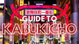 Kabukicho: Tokyo's Red Light District, a Survival Guide