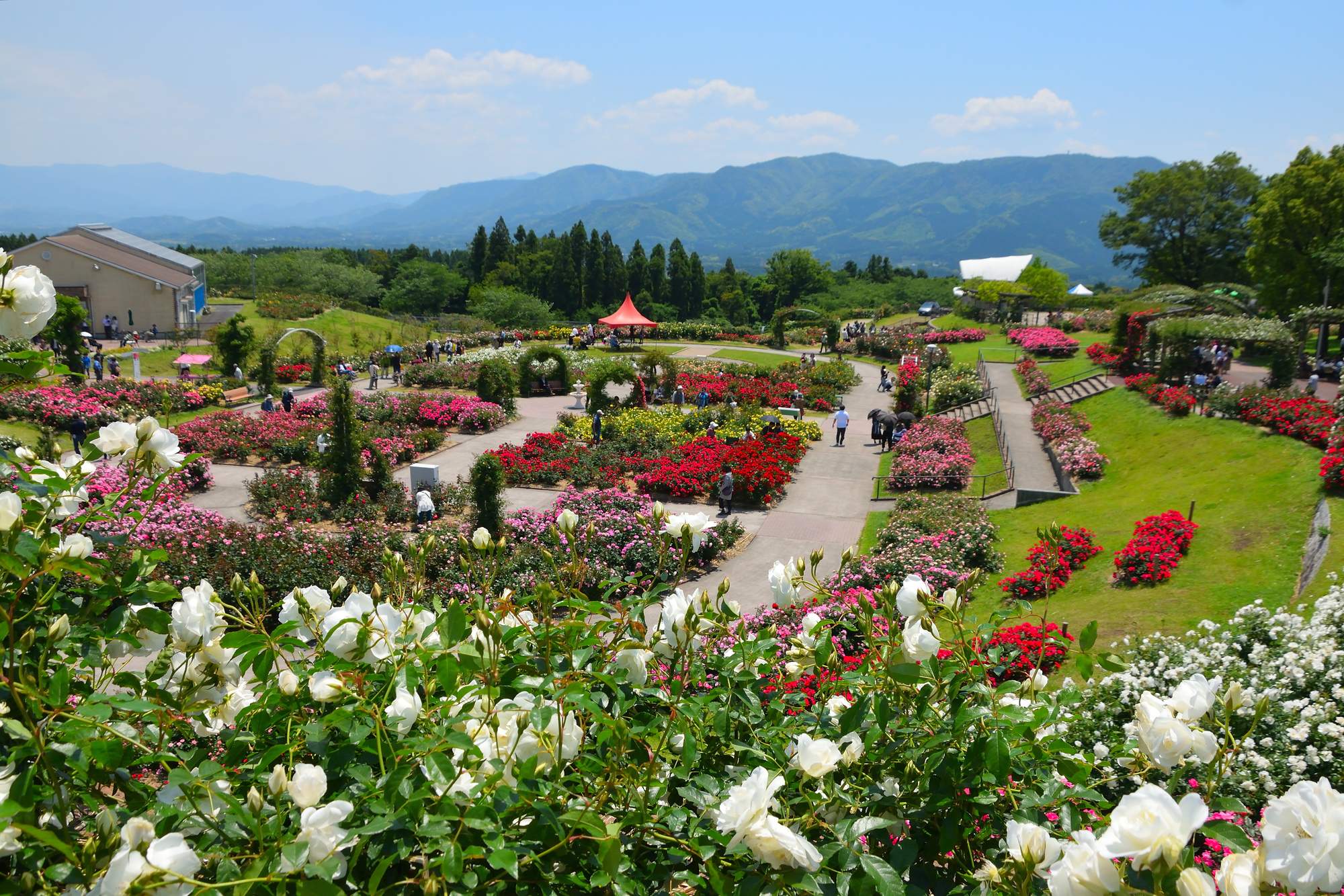 Kanoya Rose Garden
