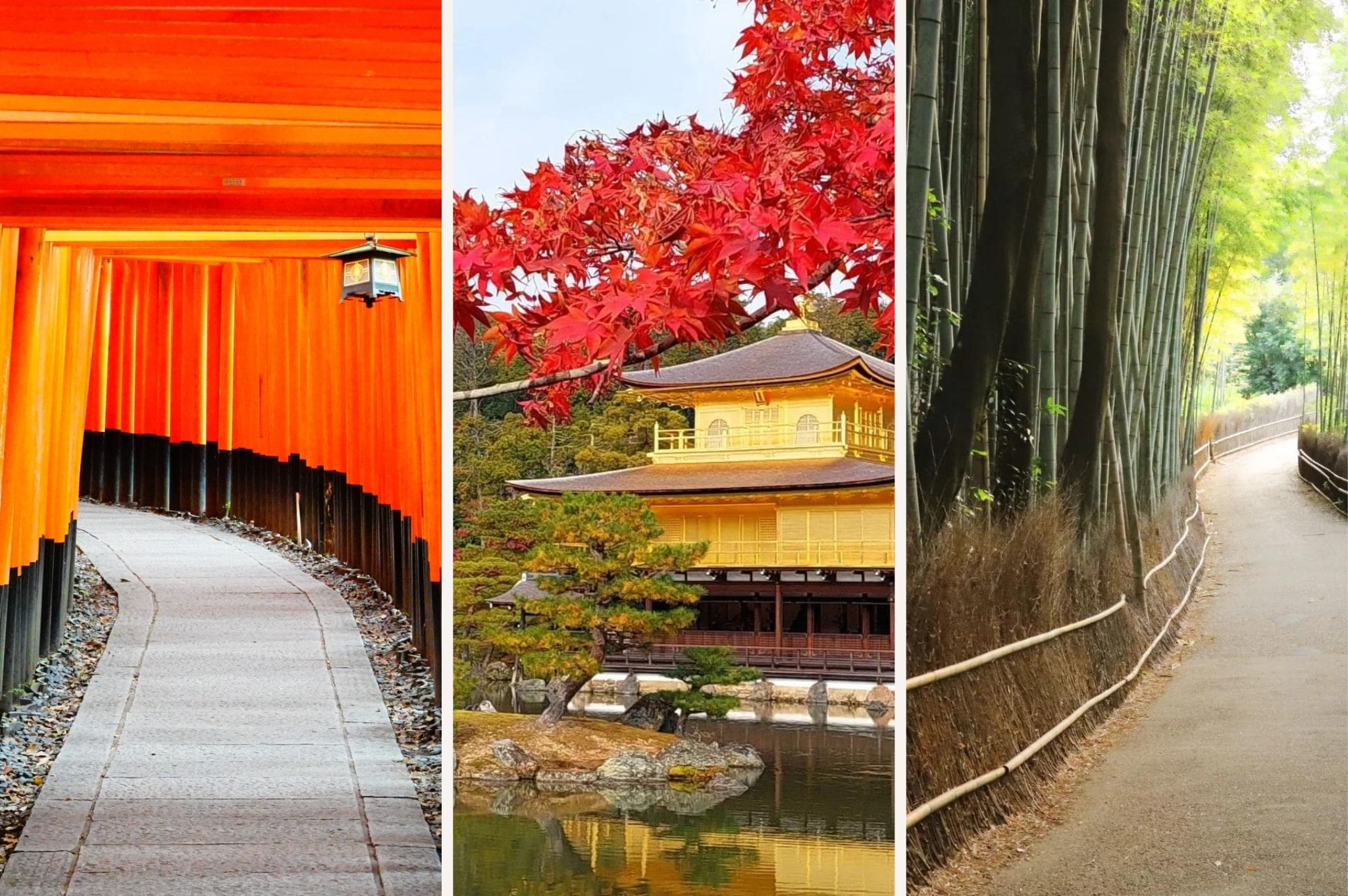 Fushimi Inari Taisha, Kinkakuji, and Arashiyama Bamboo Grove