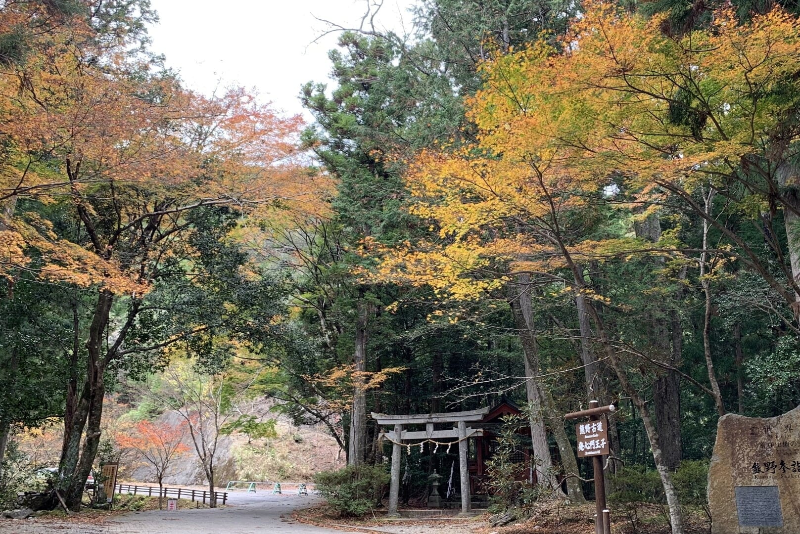 Kumano Kodo in Autumn