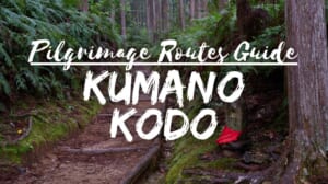 Kumano Kodo Pilgrimage Routes Guide
