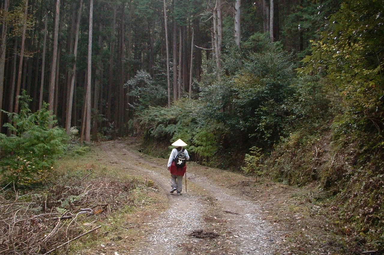 japan guide visit japan web