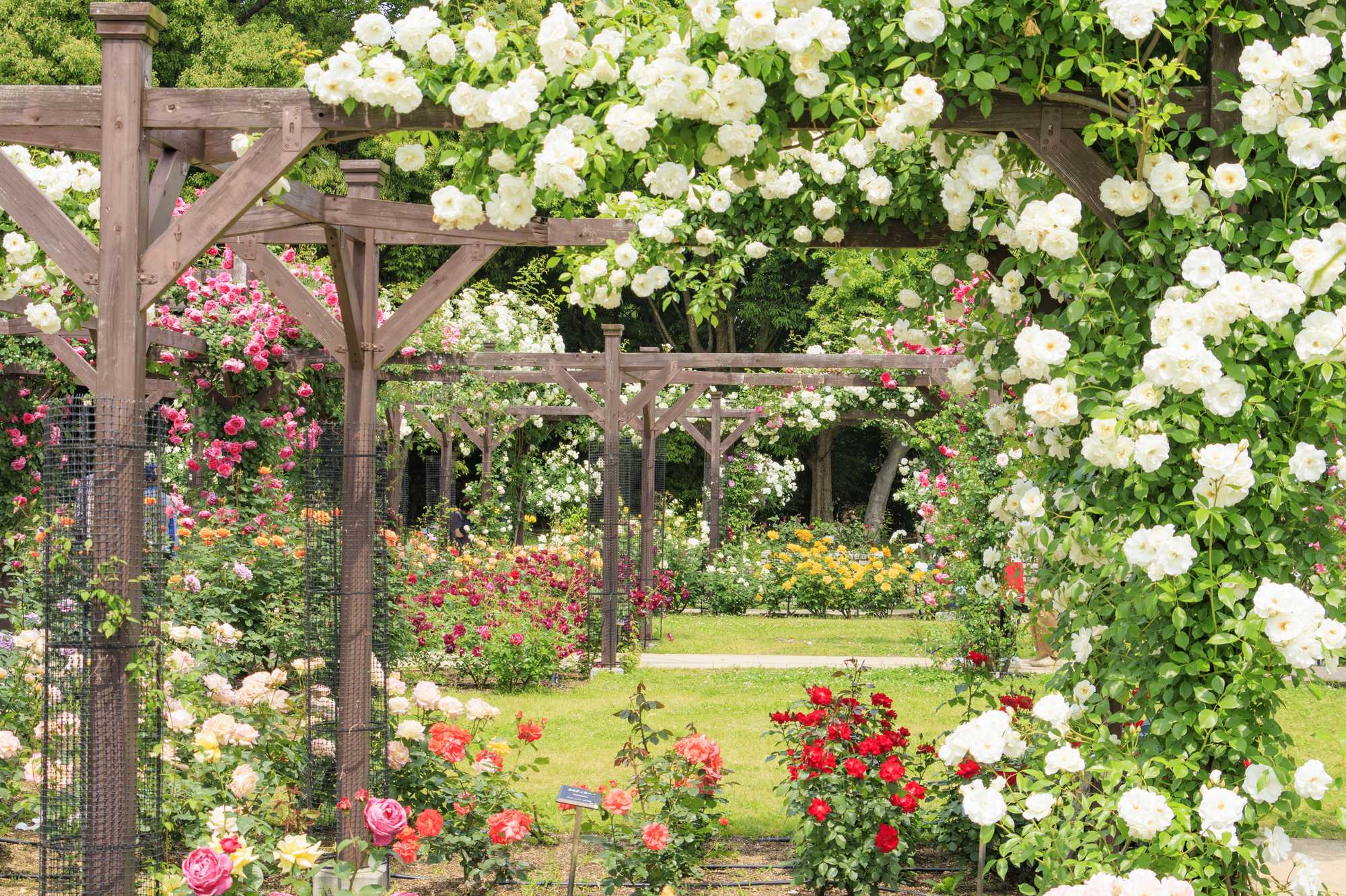 Nagai Botanical Garden