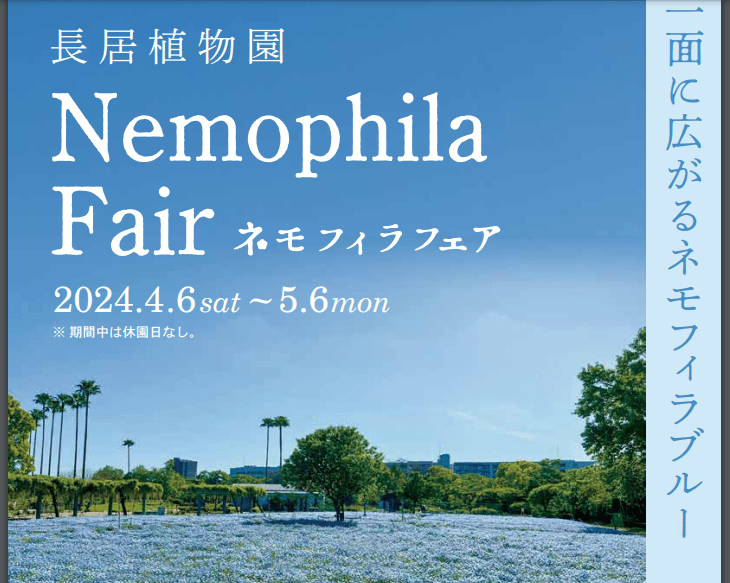 Nemophila Fair 2024-min