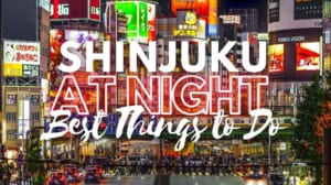 Best Things to Do in Shinjuku at Night