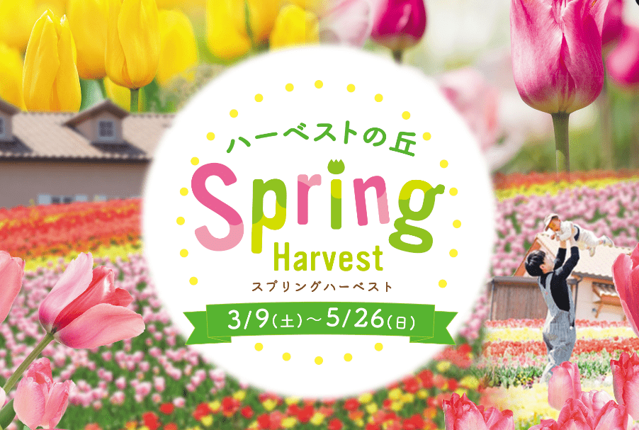 Spring Harvest -min