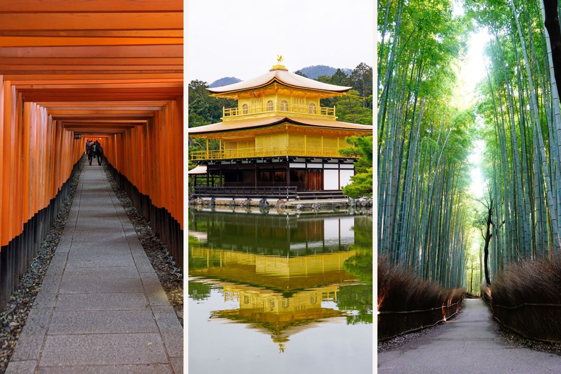 Fushimi Inari Taisha, Kinkakuji, and Arashiyama Bamboo Grove