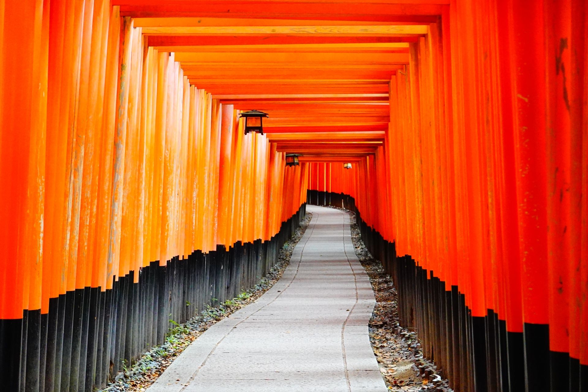 Fushimi Inari Taisha 