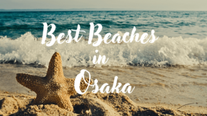 6 Best Beaches in Osaka