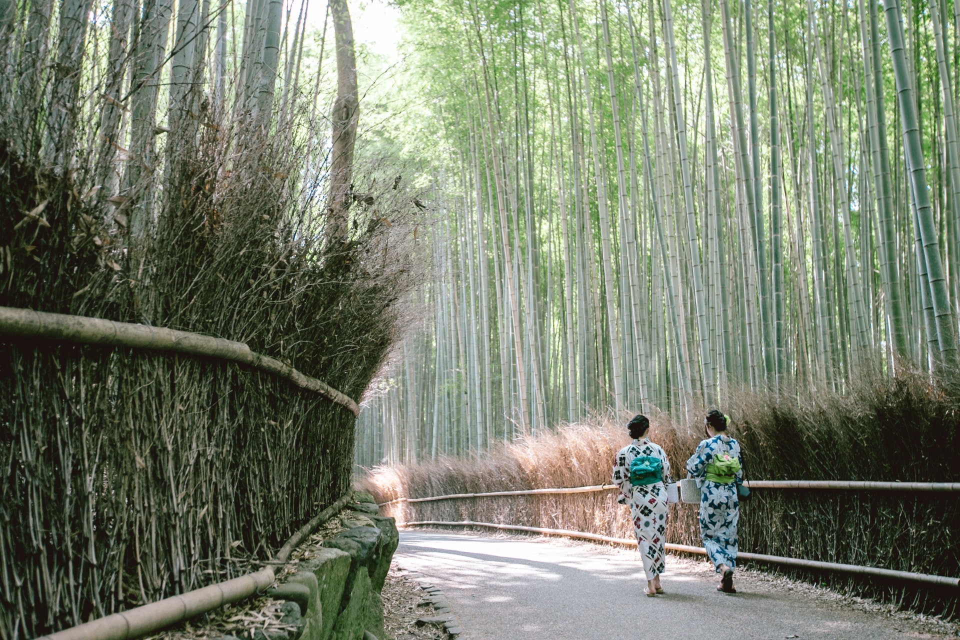 Arashiyama Bamboo Grove-min
