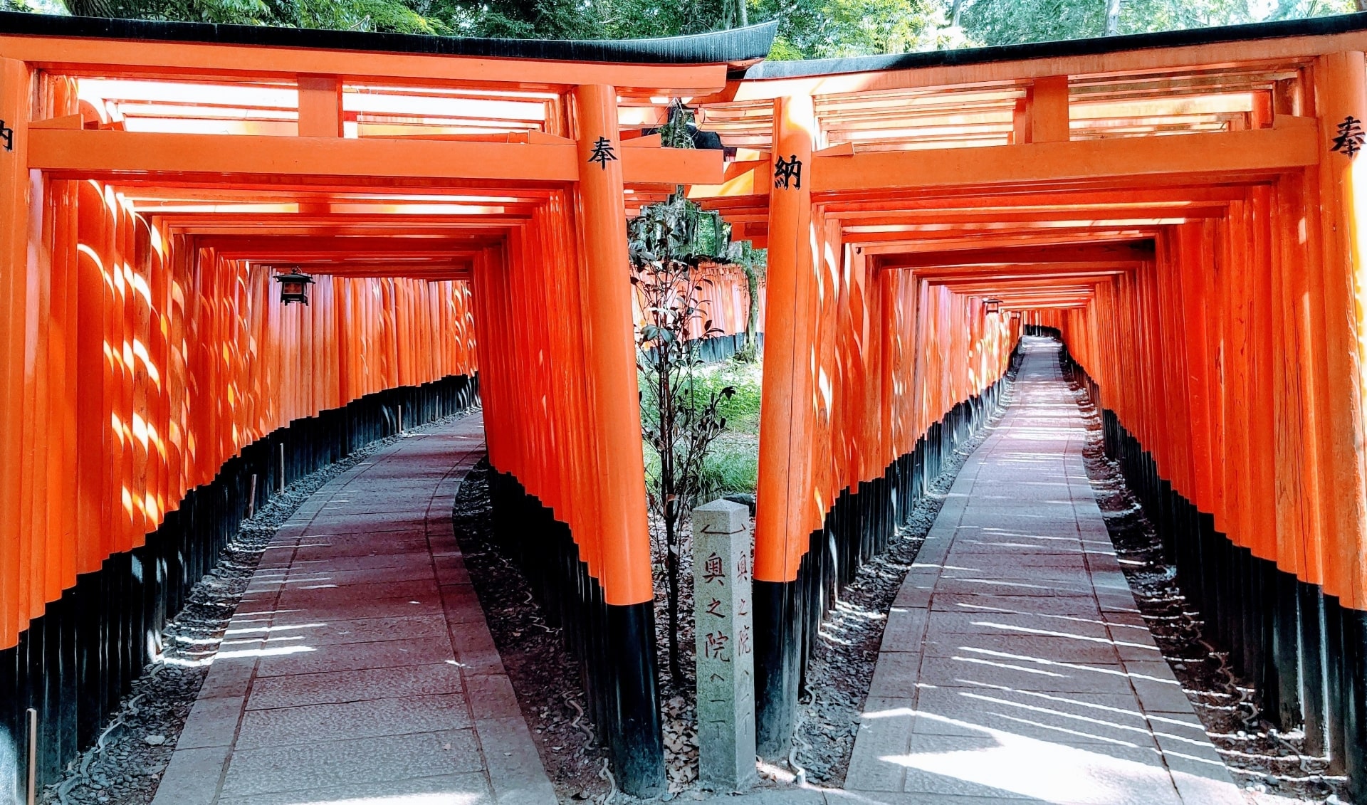 Fushimi Inari Shrine-min